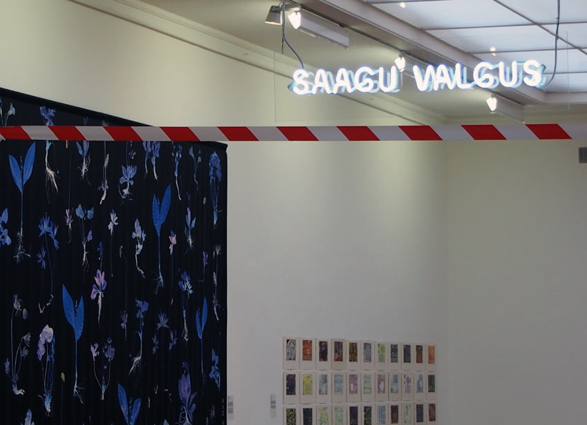 saaguvalgus